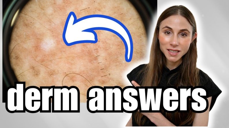 1770719505 maxresdefault