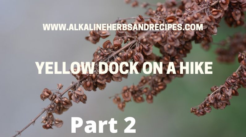 1770806160 maxresdefault