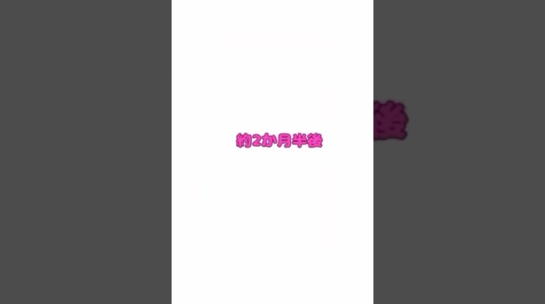 1770809803 maxresdefault