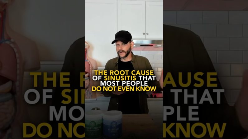 1770817255 maxresdefault