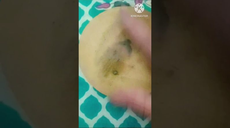 1770828175 maxresdefault