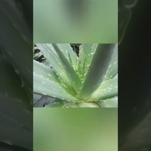 1770857402 maxresdefault