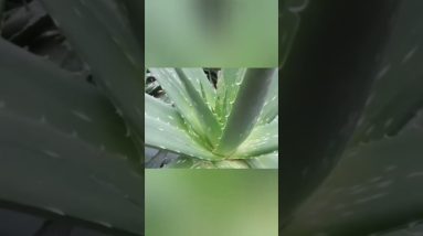 1770857402 maxresdefault