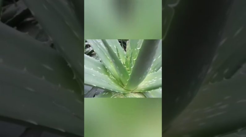 1770857402 maxresdefault