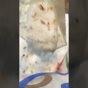 1770884238 maxresdefault