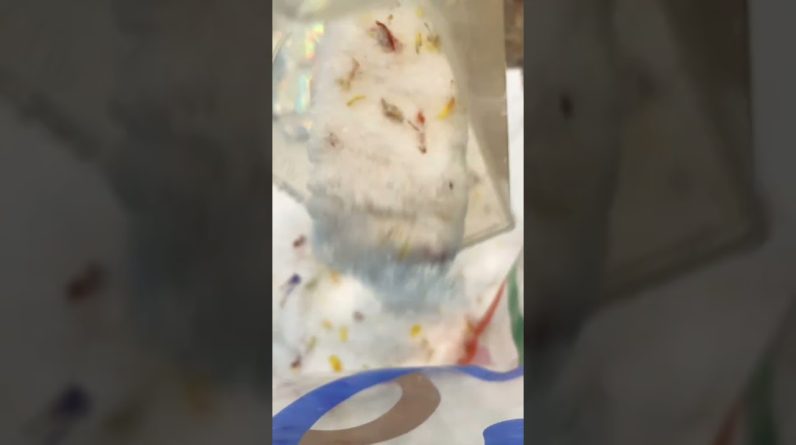 1770884238 maxresdefault