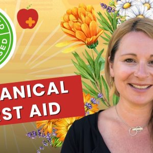 1770912228 maxresdefault