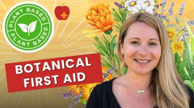 1770912228 maxresdefault