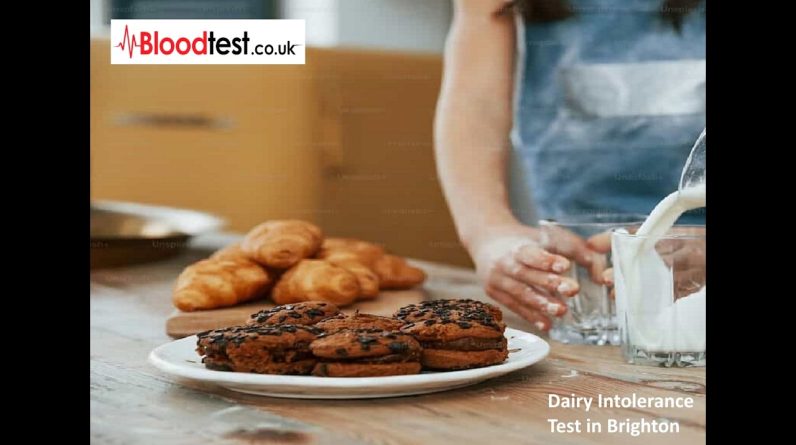 1770919783 maxresdefault