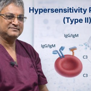 1770930828 maxresdefault