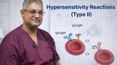 1770930828 maxresdefault