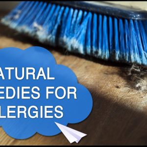 1770975237 maxresdefault