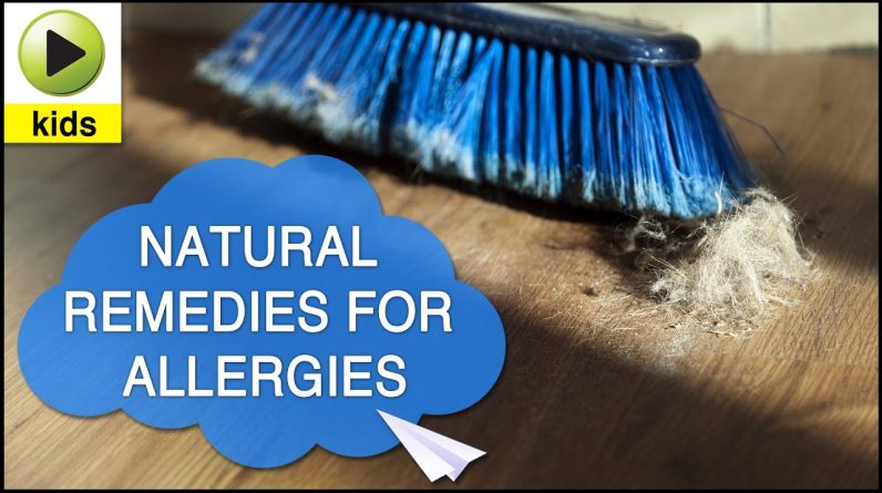 1770975237 maxresdefault