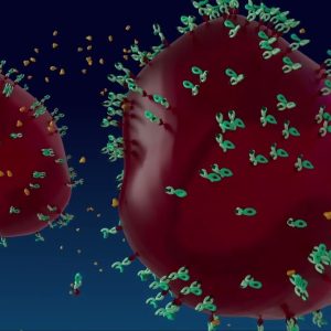 1770997091 maxresdefault