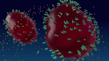 1770997091 maxresdefault