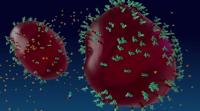 1770997091 maxresdefault