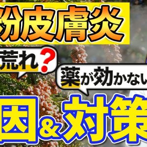 1771000371 maxresdefault