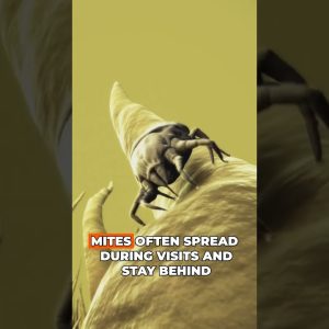 1771059713 maxresdefault