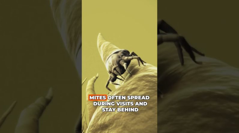 1771059713 maxresdefault