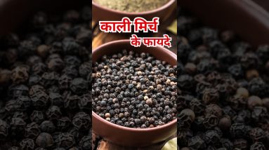 1771146653 maxresdefault