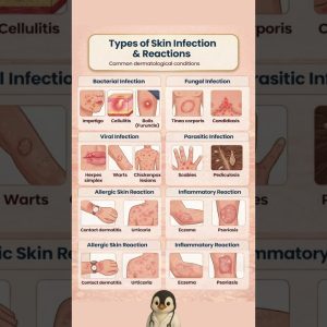 1771173946 maxresdefault