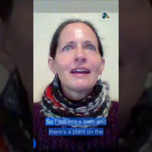 1771205623 maxresdefault