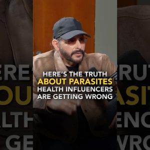 1771335167 maxresdefault