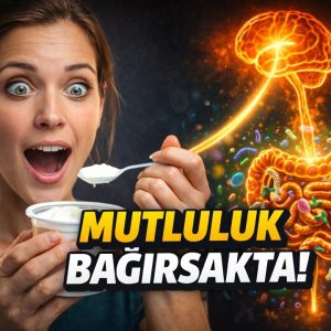 1771342487 maxresdefault