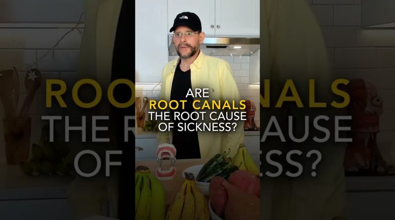 1771414423 maxresdefault