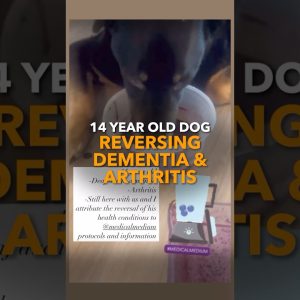 1771437740 maxresdefault