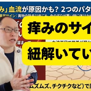 1771440075 maxresdefault