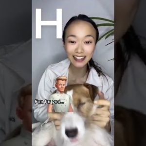 1771517683 maxresdefault