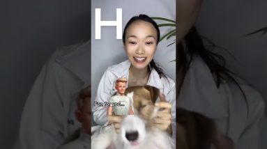 1771517683 maxresdefault