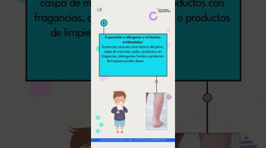 1771521584 maxresdefault