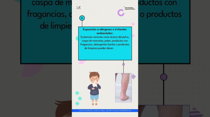 1771521584 maxresdefault