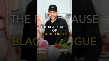 1771575139 maxresdefault