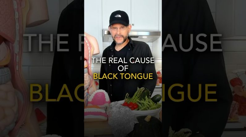 1771575139 maxresdefault