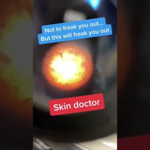 1771749175 maxresdefault