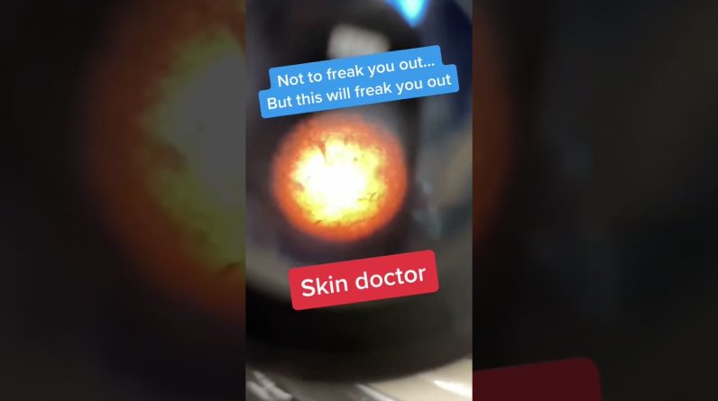 1771749175 maxresdefault