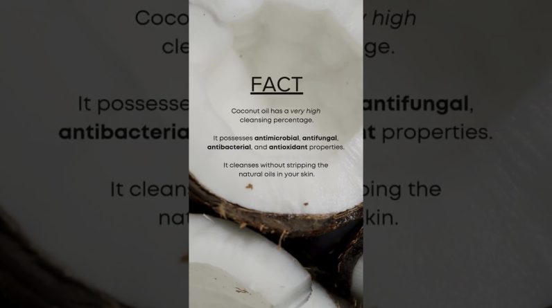 1771763822 maxresdefault