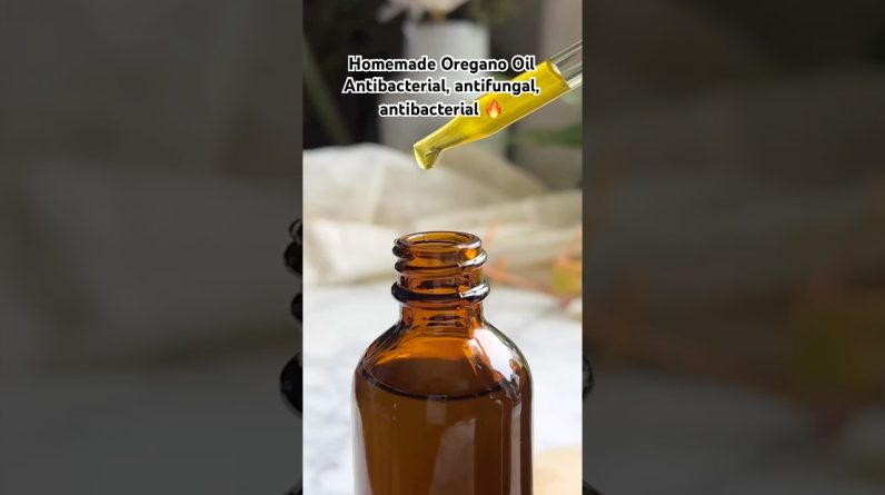 1771766891 maxresdefault