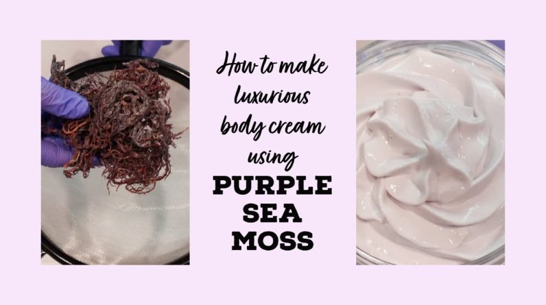 1771783971 maxresdefault