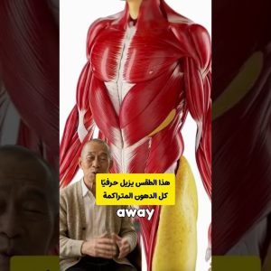 1771811442 maxresdefault