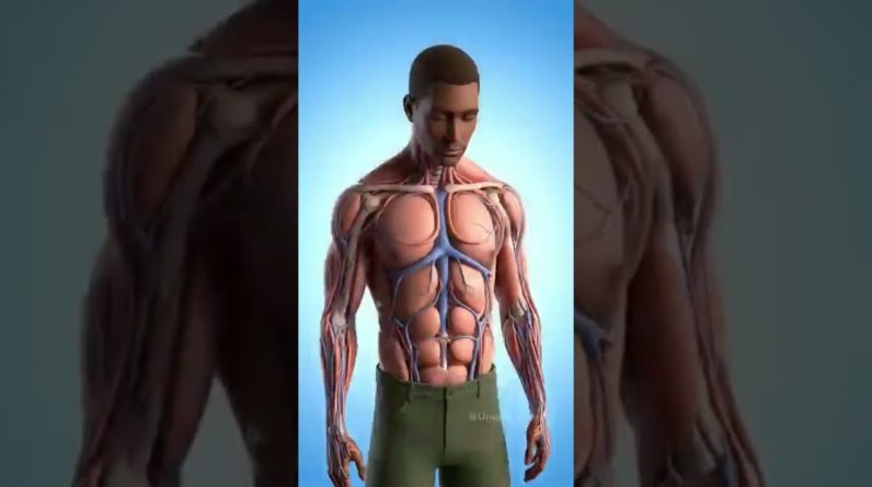 1771815091 maxresdefault