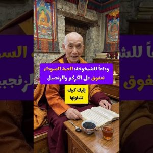 1771818766 maxresdefault