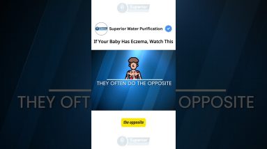 1771931810 maxresdefault