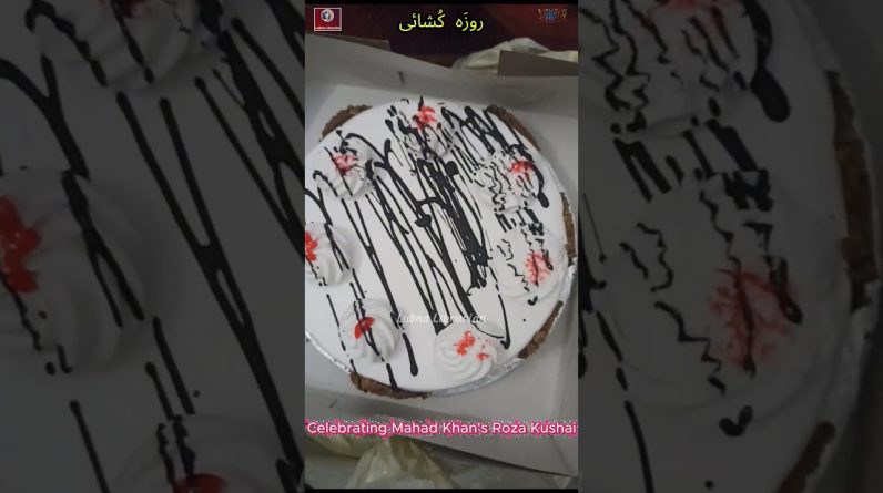 1771964009 maxresdefault