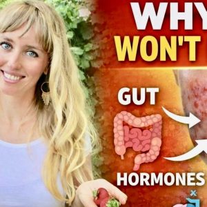 1772007962 maxresdefault