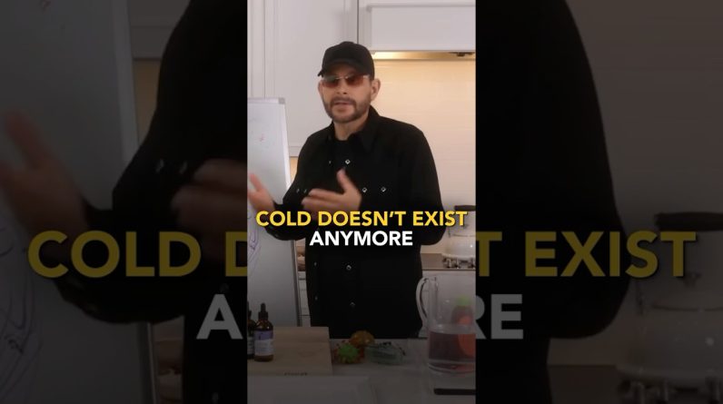 1772013052 maxresdefault