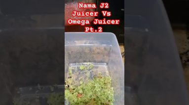 1772275125 maxresdefault